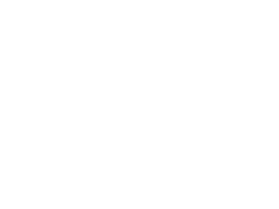 madi-logo-white