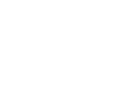FSL Logo Leading search marketing consultancy experts